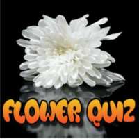 Top Flower Quiz