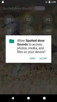 Spotted dove sounds Screen Shot 3