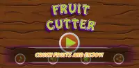 Fruit Cutter - Best Smasher of 2021 Screen Shot 0