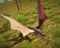 Flying Crocodile 3D Sim Chase Screen Shot 3