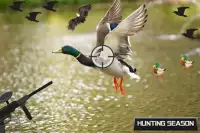 Birds Hunter Challenge: Bird Hunting Games Screen Shot 0