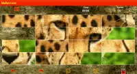 Big Cats Puzzle Screen Shot 6