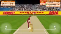 Cricket Star 2016 Screen Shot 4