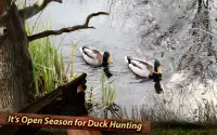 New Wild Duck Hunting 3D 2018 Screen Shot 3