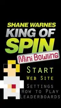 Shane Warne - KoS Mini Bowling Screen Shot 0