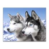 Dogs Jigsaw Puzzles