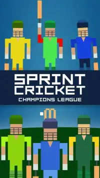 Sprint Cricket: CHAMPIONS LEAGUE Screen Shot 0