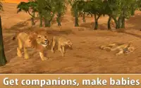 Wild African Lion Simulator 3D Screen Shot 2