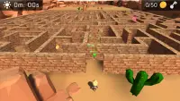3D Maze (The Labyrinth) Screen Shot 3