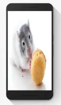Hamster Puzzle Jigsaw Game Screen Shot 2