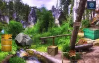 Escape Games - Wild Forest Screen Shot 1