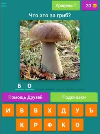 Угадай Гриб Screen Shot 5