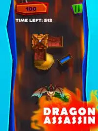 Dragon Assassin Screen Shot 0