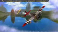 Real Plane Flight Simulator: Flying Pilot Screen Shot 2