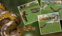Wild Anaconda Snake Attack Sim Screen Shot 9