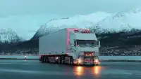 Real City Cargo Truck Driver Simulator 2018 Screen Shot 5