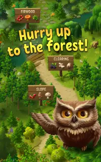 Forest Bounty — collect & cook Screen Shot 14