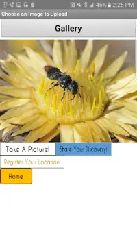 Pocket Pollinator Screen Shot 3