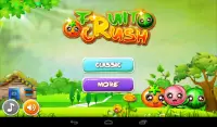 Fruit Crush Screen Shot 8