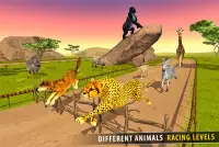 Savanna Animal Racing 3D: Wild Animal Games Screen Shot 3