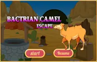 Free New Escape Game 96 Bactrian Camel Escape Screen Shot 2