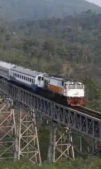 Trains Indonesia Jigsaw Puzzles Screen Shot 1