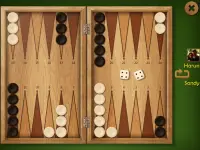 Spades Solitaire Backgammon Screen Shot 12