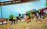 Dog Race & Stunts 2016 Screen Shot 4