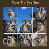 Tiger Tic Tac Toe