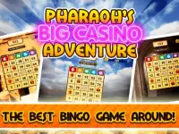 Big Win Casino Bingo Jackpot Mania Superstar Screen Shot 3