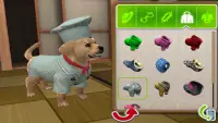 PS Vita Pets: Puppy Parlour Screen Shot 4