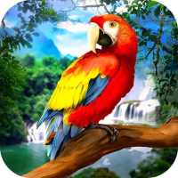 Vahşi Papağan Survival - orman kuş simülatörü!