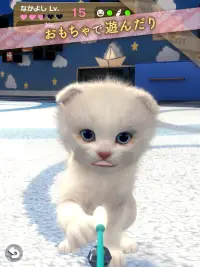 with My CAT - 猫とくらそう - Screen Shot 10