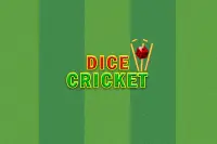 Dice Cricket Screen Shot 0