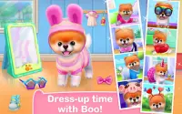 Boo - The World's Cutest Dog Screen Shot 0