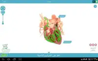 3D Anatomy Quiz Screen Shot 9