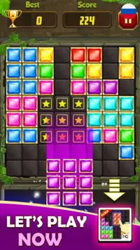 Block Puzzle: деревянный блок - игра-головоломка Screen Shot 6