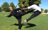 Learn Kung Fu Training 2020 Screen Shot 6