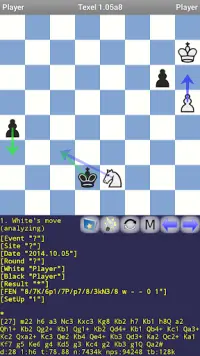 Texel Chess Engine Screen Shot 0
