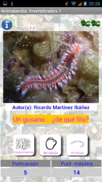 Animalandia Invertebrados 1 Screen Shot 13