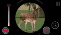 Deer Hunting Crossing Sniper shooting Screen Shot 3