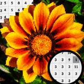 Gazania Flowers Color By Number-Pixel Art