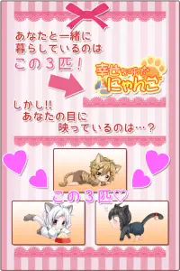 幸せを呼ぶにゃんこ 【かわいい育成ゲーム/放置育成】 Screen Shot 1