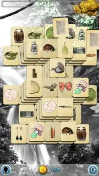 Hidden Mahjong: Aviary Screen Shot 1