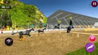 Angry Horse Racing 3D Simulator Screen Shot 1