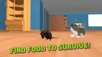 Home Kitten Simulator 3D Screen Shot 2