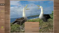 أحجية الصور - لعبة الطيور Screen Shot 3