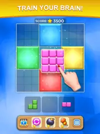 Block Sudoku Puzzle Screen Shot 13