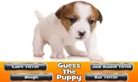 Guess The Puppy 2 Trivia Game Screen Shot 0
