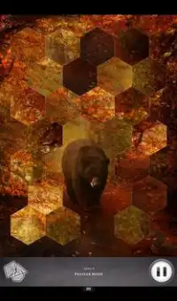 Hidden Scenes - Animal Seasons Screen Shot 4